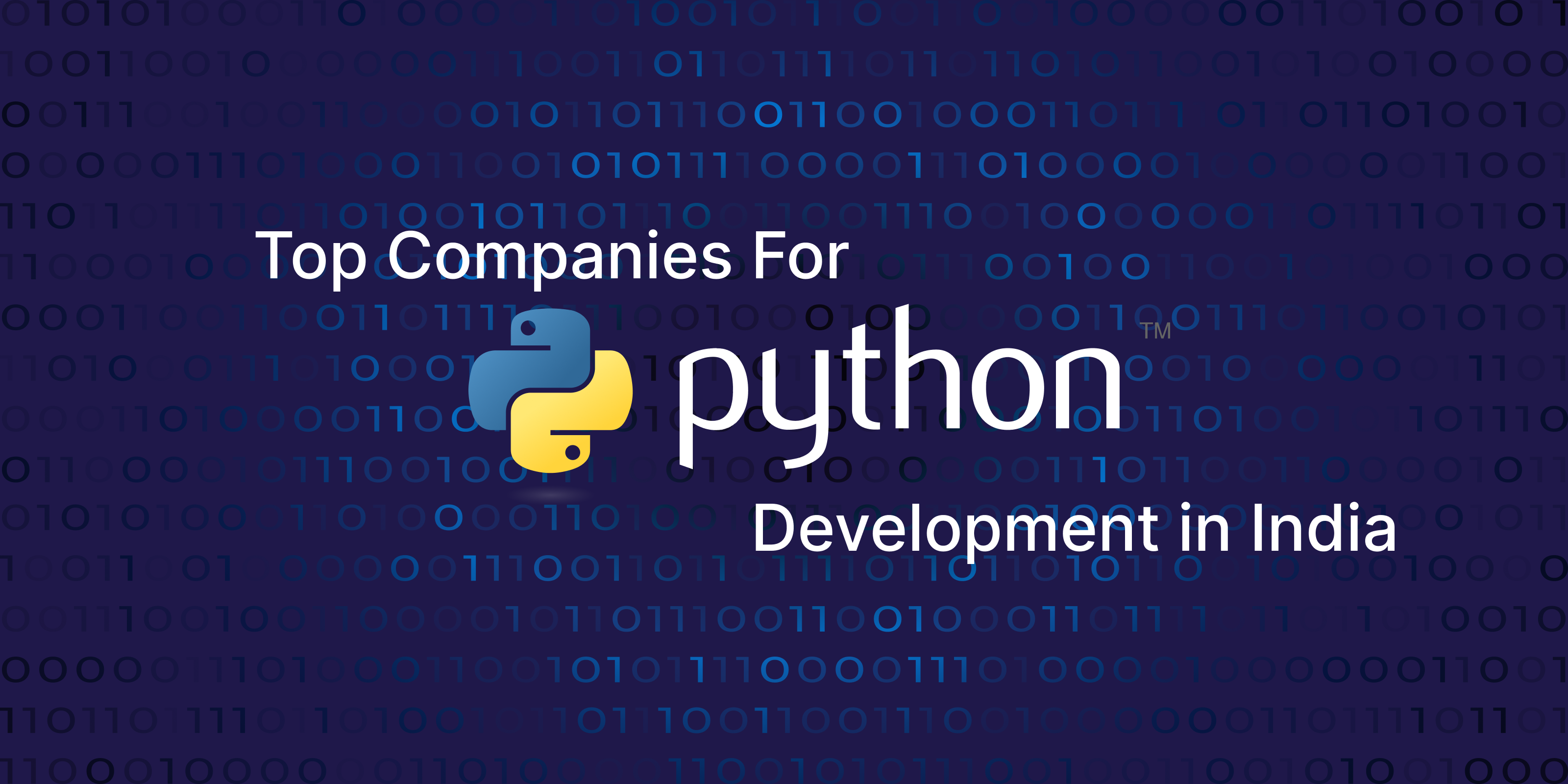 python development companies in india banner image